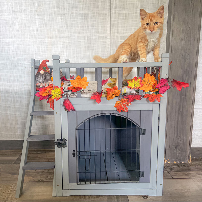 Aivituvin-AIR08-B Outdoor Dog/Cat House, Indoor Cat House (Litter Box and Bed Allowed)