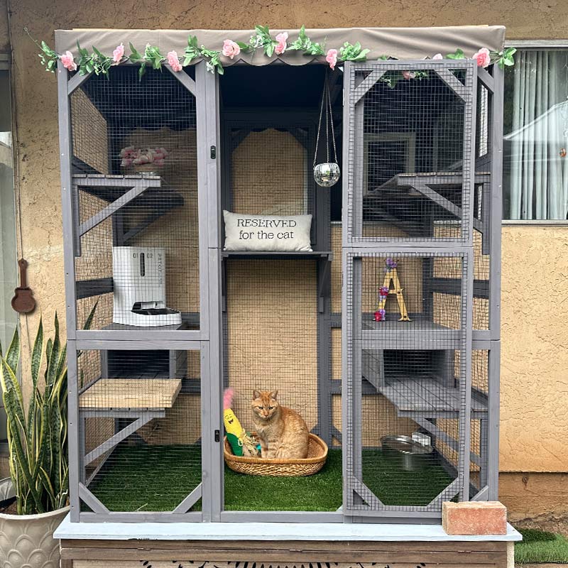 Aivituvin-AIR37-M 62.6"L Walk-in Large Cat Enclosure with Roof Tarp - Connects to Windows or Cat Doors