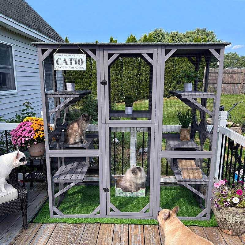 Aivituvin-AIR37 71.1"L Walk-in Extra Large Outdoor Cat Enclosure Connected To House