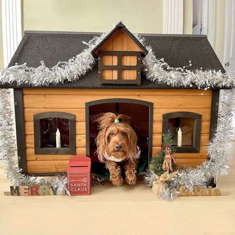 Aivituvin-AIR90 46.3"L Premium Wooden Dog House | Iron Frame and Asphalt Roof