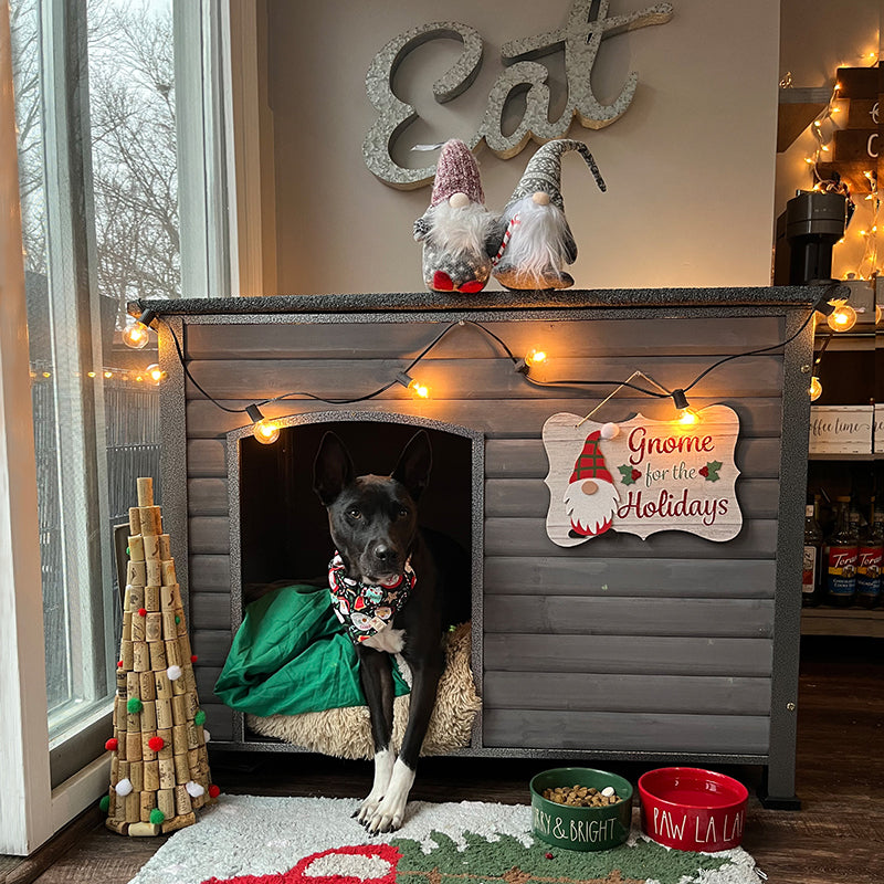 Aivituvin-AIR74/75/76 33.5"L/43.3"L Wooden Heavy Duty Dog Crates House| Strong Iron Frame