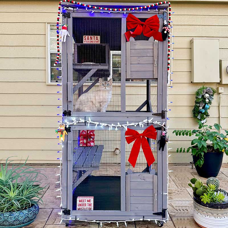 Aivituvin-AIR22 Cat House , Outdoor Cat Catio (Inner Space 13.2ft²)