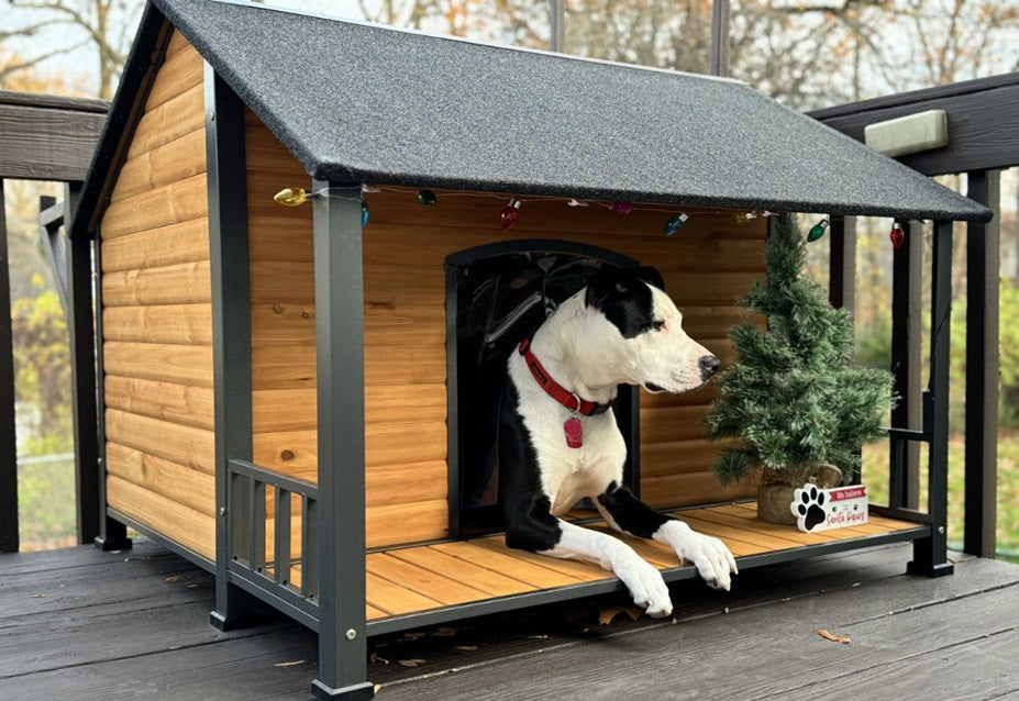 Large Dog House