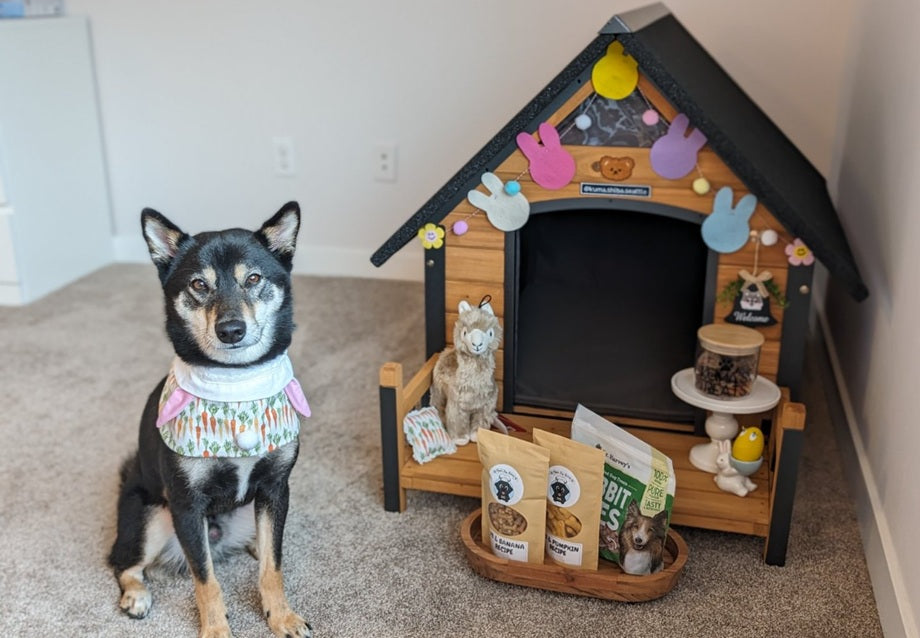 Insulated Dog House