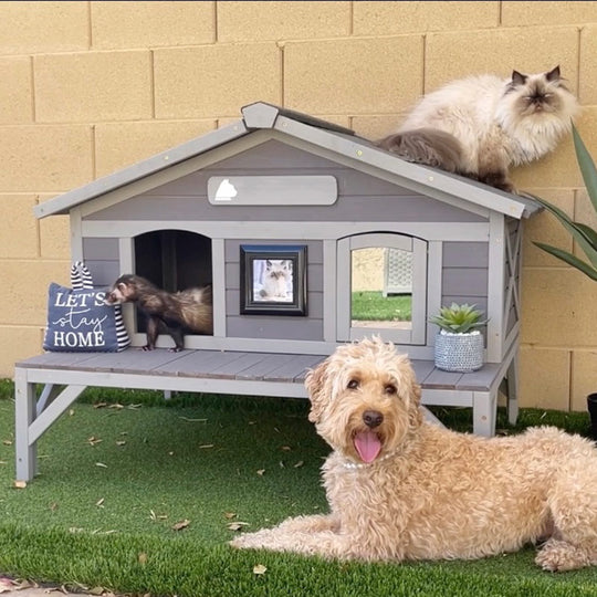 Aivituvin-AIR92 Premium Wooden Cat House for Feral Cats |Weatherproof Shelter