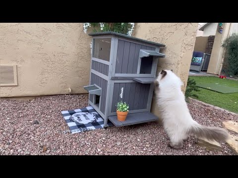 Aivituvin-AIR14-1 Two Tier Wooden Cat House with Waterproof Roof, Door Flaps