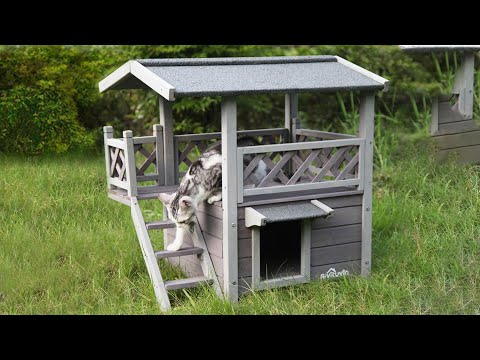 Aivituvin-AIR09-B Outdoor And Indoor Cat House(Inner space 5.2 ft²)