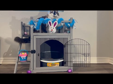 Aivituvin-AIR08-B Outdoor Dog/Cat House, Indoor Cat House (Litter Box and Bed Allowed)