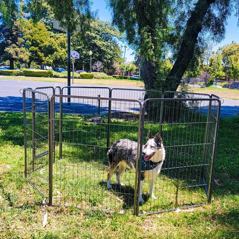 Aivituvin-AIR50/51 Dog Exercise Pen | Outdoor&Indoor Portable Pet Puppy Playpen
