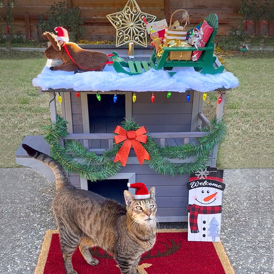 Aivituvin-AIR33 Outdoor Cat House, Indoor Wooden Cat House (Inner space 10.9 ft²)
