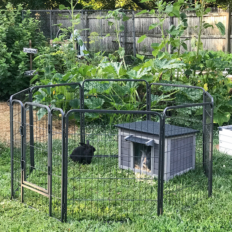 PET PEN