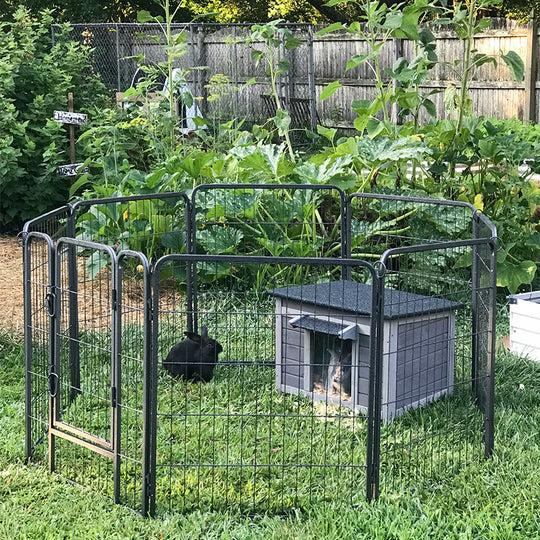 PET PEN