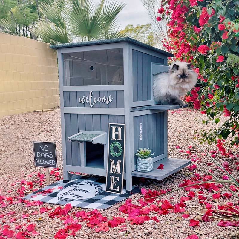 Aivituvin-AIR14-1 Two Tier Wooden Cat House with Waterproof Roof, Door Flaps