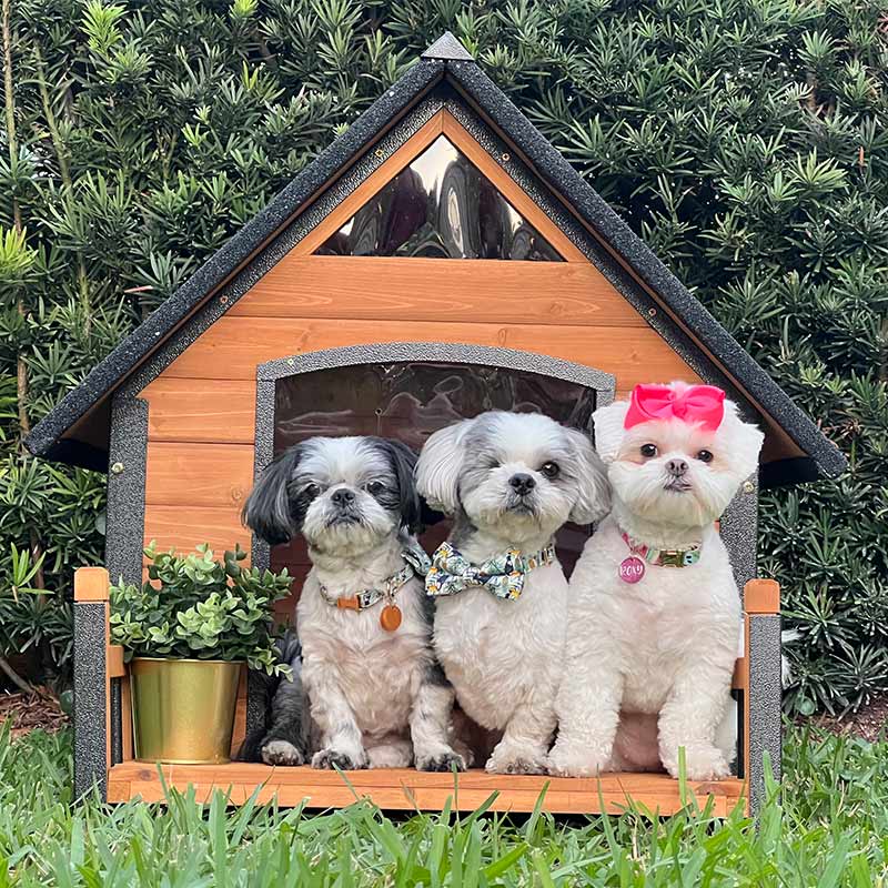 Aivituvin-AIR80/81 Outdoor Dog House with Porch| Strong Iron Frame