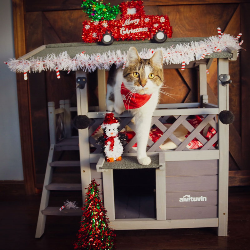 Aivituvin-AIR09-B Outdoor And Indoor Cat House(Inner space 5.2 ft²)