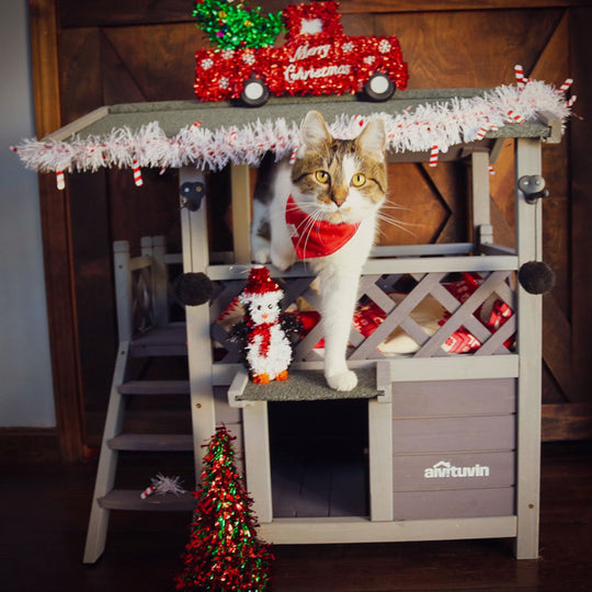 Aivituvin-AIR09-B Outdoor And Indoor Cat House(Inner space 5.2 ft²)