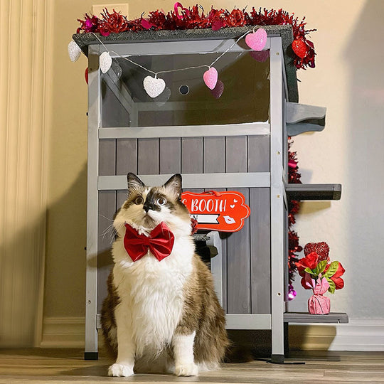 Aivituvin-AIR14-1 Two Tier Wooden Cat House with Waterproof Roof, Door Flaps