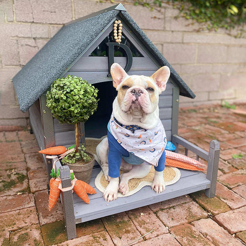 Aivituvin-AIR80/81 Outdoor Dog House with Porch| Strong Iron Frame