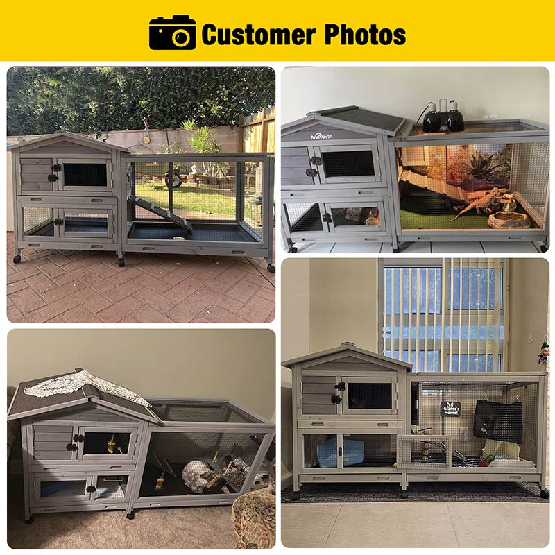 indoorbunnyhutch