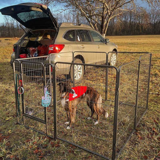 Aivituvin-AIR50/51 Dog Exercise Pen | Outdoor&Indoor Portable Pet Puppy Playpen